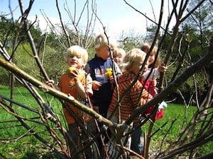 Waldkindergarten Kinderwald