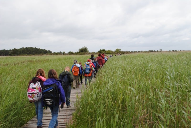 Hort "Die wilden Eichh&ouml;rnchen"