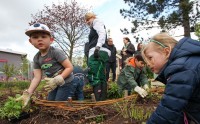 Garten im Kindergarten: Projekt fördert biologische Vielfalt