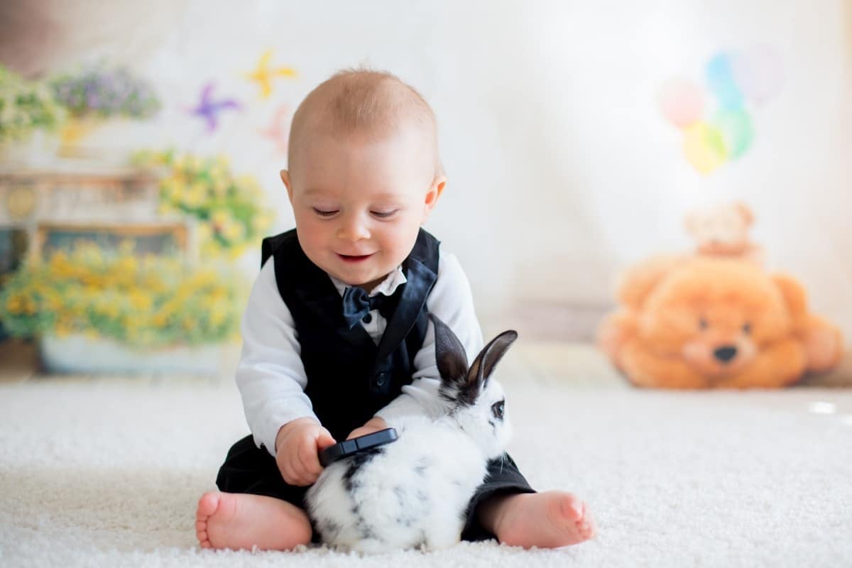 Kinder Anzug Set - Weste + Hemd + Hose Für Hochzeit & Festliche Anlässe
