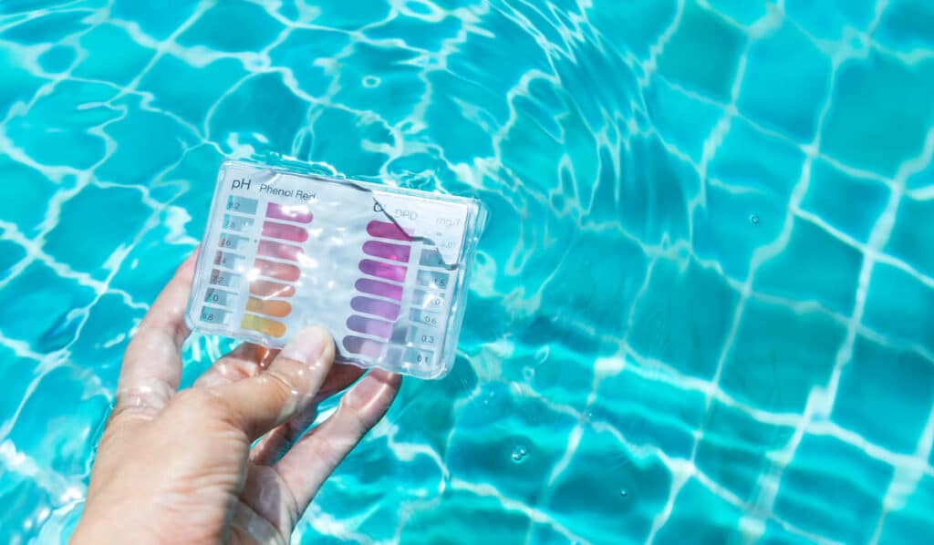 Pool Wassertester digital