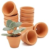 Mini Terrakotta-Blumentopf-Set von Juvale (10 Stück) - Ideal für kleine Zimmerpflanzen, Balkon- und Terrassenpflanzen oder Ableger und Zöglinge - Mit Bodenloch - Braun - 2,8 cm x 3,8 cm