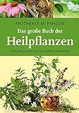Das große Buch der Heilpflanzen: Gesund durch die Heilkräfte der Natur