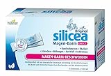 Hübner Original silicea® Magen-Darm DIRECT (0.23 L)