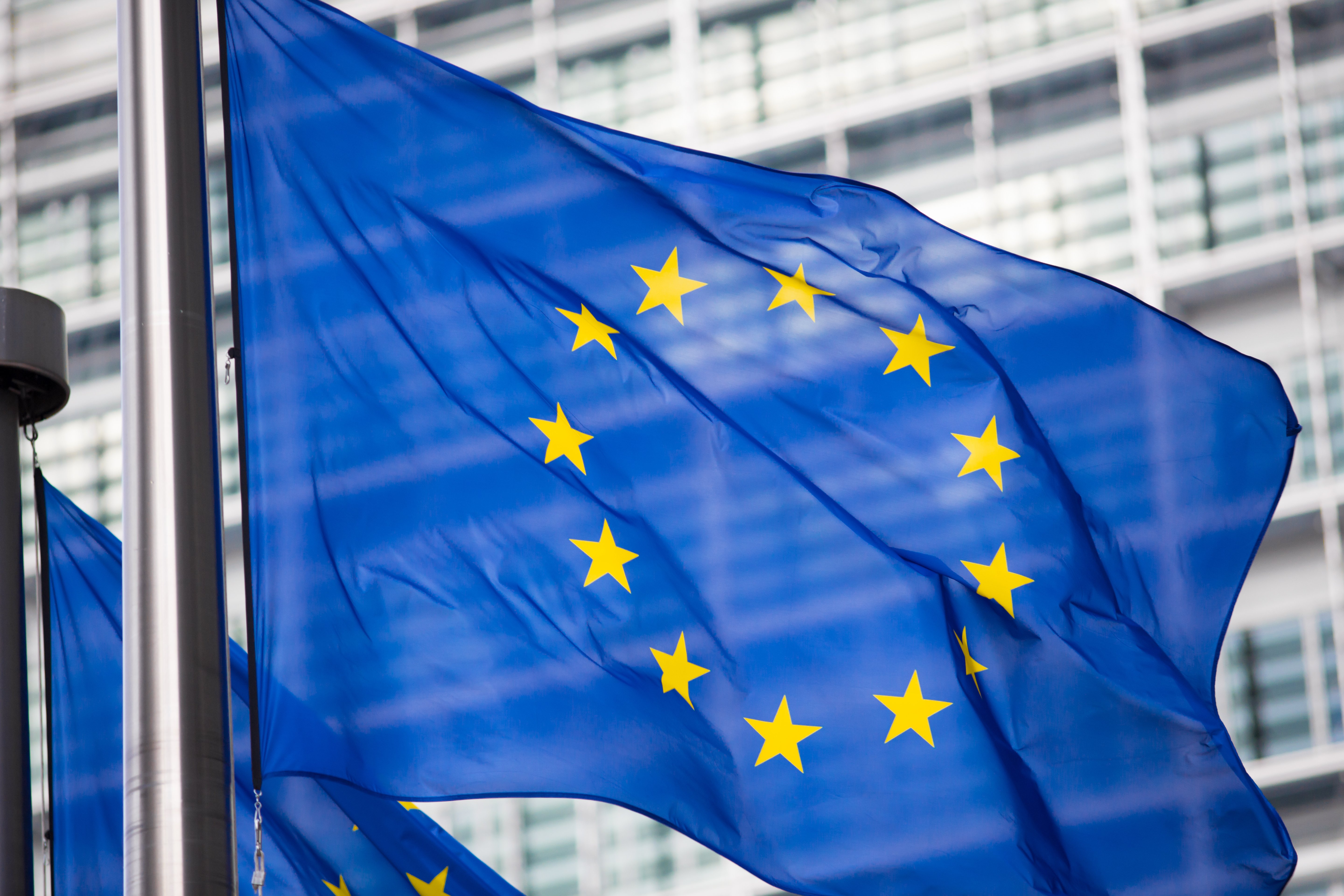 EU Flagge