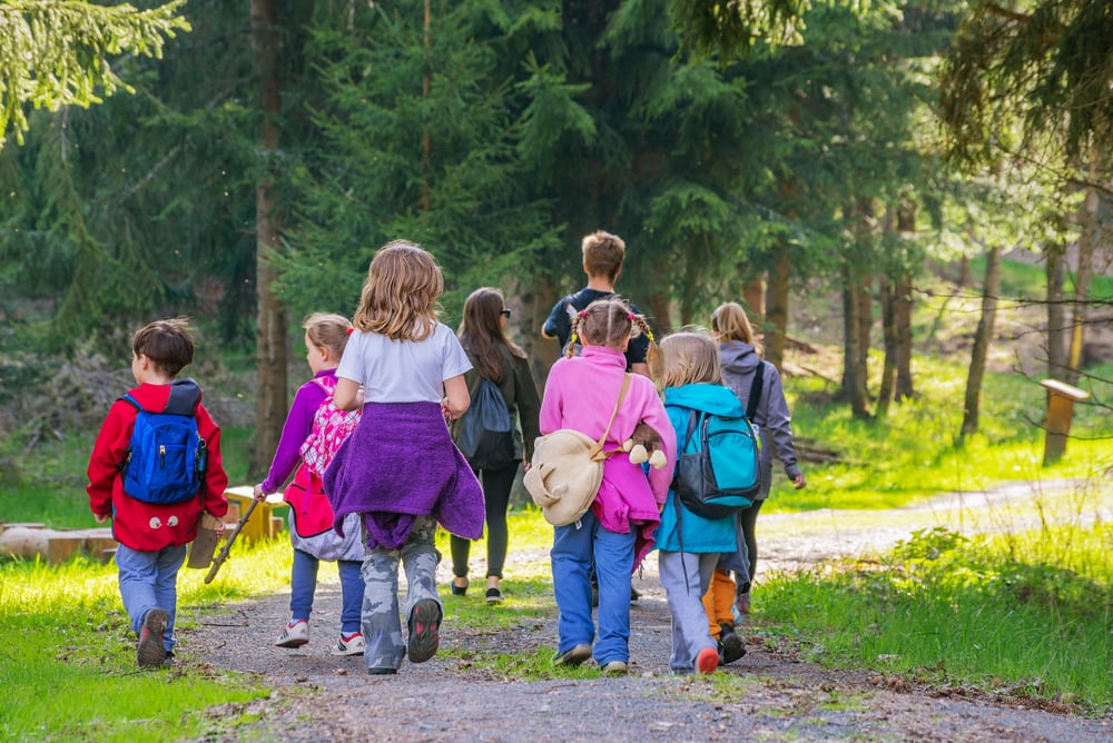 Waldkindergarten: Was Eltern über die Waldpädagogik wissen sollten