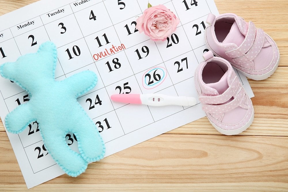 Eisprung im Kalender eingetragen