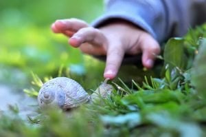 kinderhand beruehrt schnecke