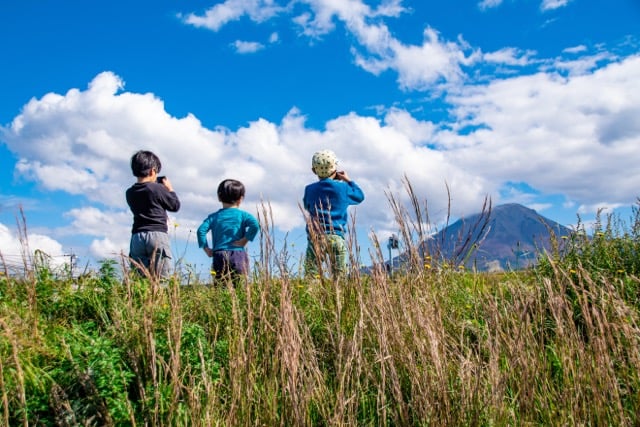 <strong>Japan mit Kindern bereisen: Ein Guide für den entspannten Familien-Roadtrip</strong>