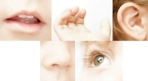 Gruppenspiele für Kinder - Infos und Ideen zu Spielen im Kindergarten