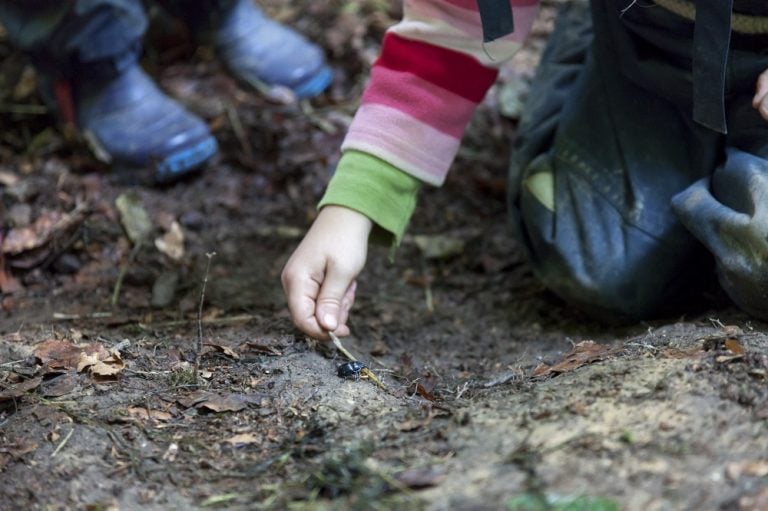 Naturpädagogik: Methoden, Ziele und Ausbildungsmöglichkeiten