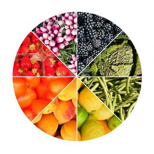 kreisdiagramm mit verschiedenen sorten obst und gemuese