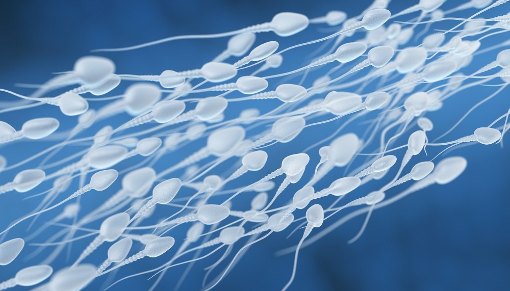 spermienqualitaet verbessern